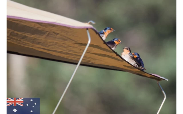 Gordigear Dachzelt Plus Für 4 Personen Mit Staufläche 180 X 320 Cm Grün 2 Gordigear Dachzelt Plus Für 4 Personen Mit Staufläche 180 X 320 Cm Grün – Bild 2