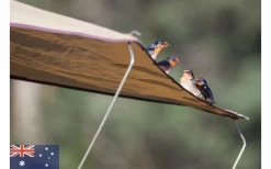 Gordigear Dachzelt 140 Plus Für 2 Personen Mit Vorzelt 140 X 320 Cm Grün 13 Gordigear Dachzelt 140 Plus Für 2 Personen Mit Vorzelt 140 X 320 Cm Grün -Zelt Serie 737393 4968680